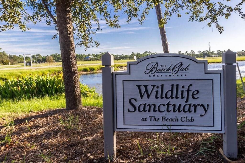 Beach Club B1703 ~ Beachfront 17Th Floor ~ Phenomenal Beach/Gulf View! Gulf Shores Exterior foto